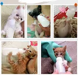 60ml Pet Feeding Bottle with Nipple and Cleaning Brush