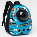 Cartoon Blue Pet Bag