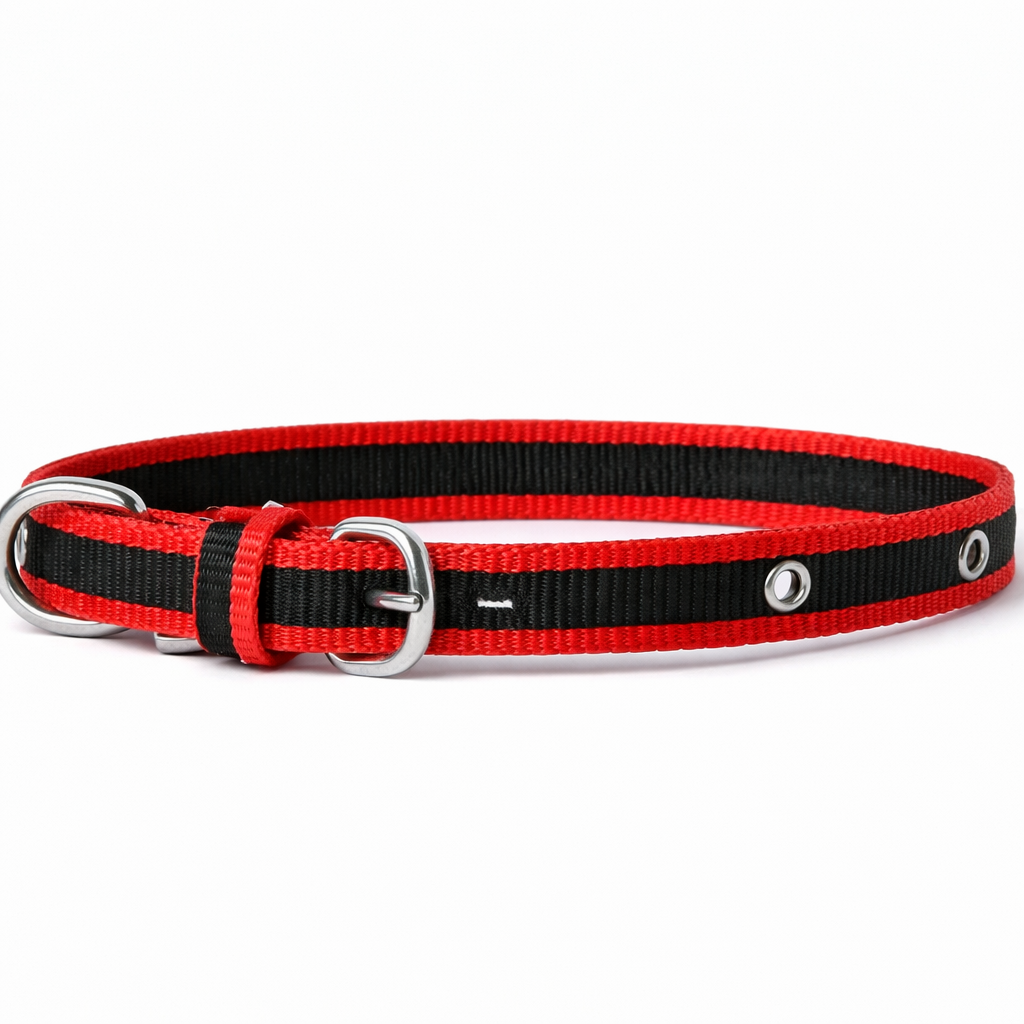 Border Collar