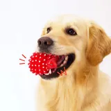 Hedgehog Squeaky Toy
