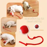 Electric Dogs Rolling Ball with Speedy Tail Rope