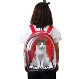 Red Transparent Pet Bag