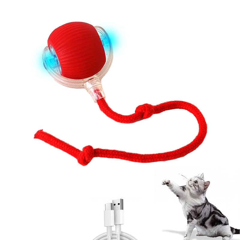 Electric Pet Ball with Rope Tail Fun