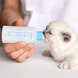 60ml Pet Feeding Bottle with Nipple and Cleaning Brush