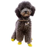 Dog Socks