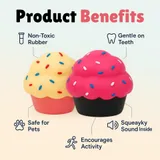 Cup Cake Squeaky Toy