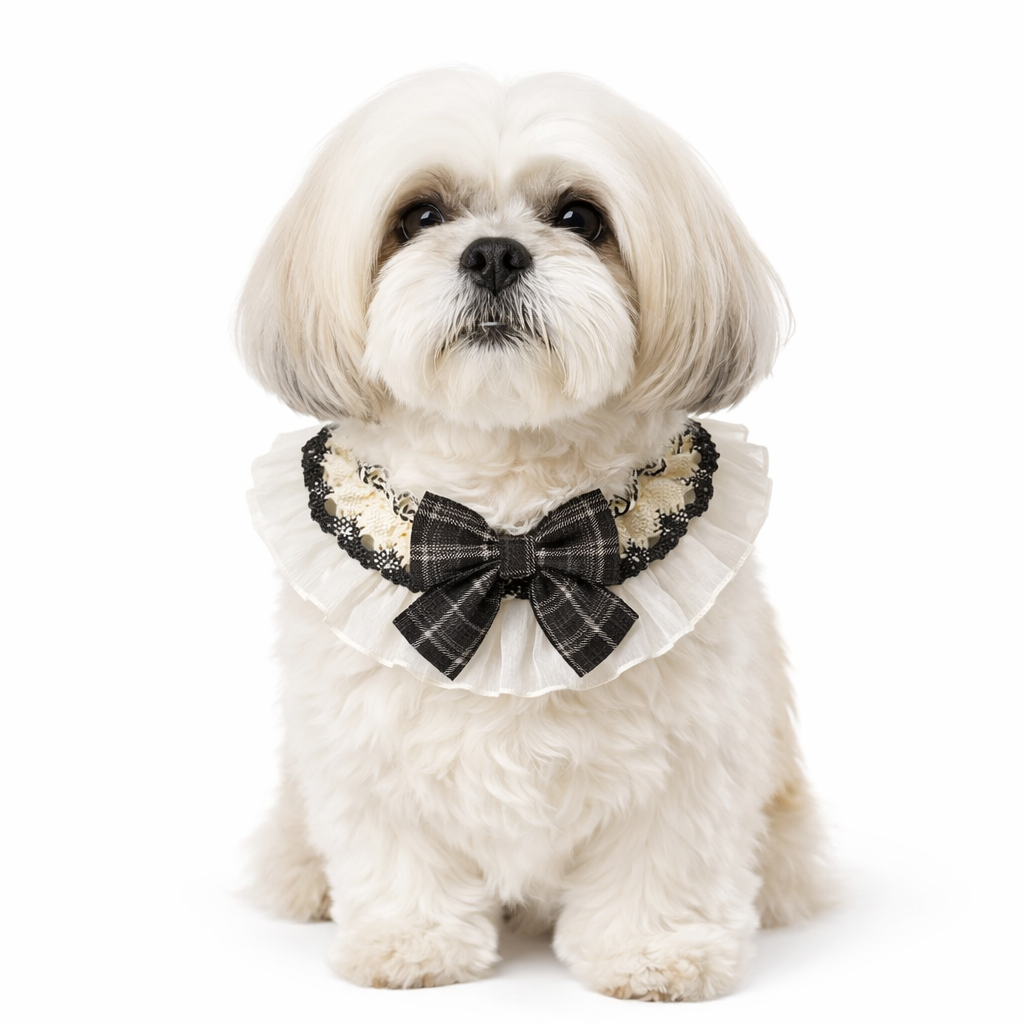 Bow lace pet neckwear black