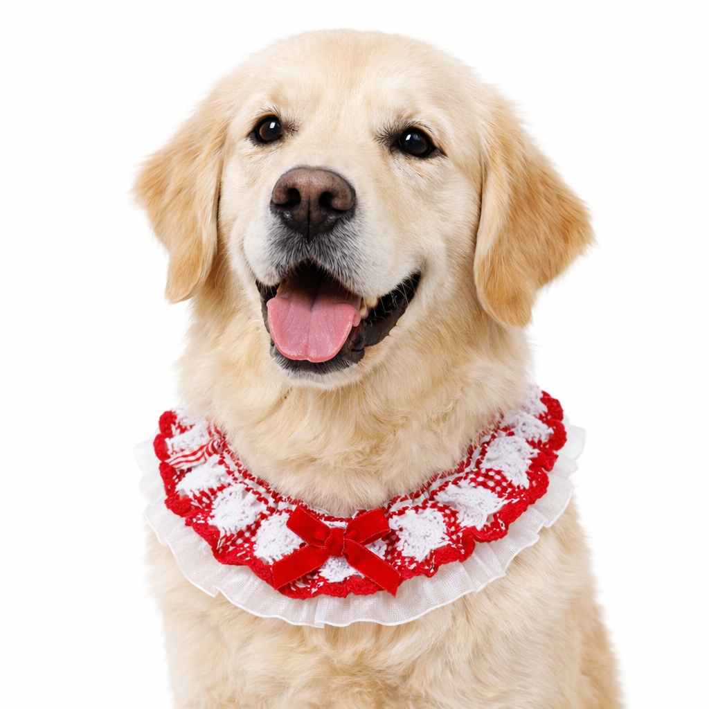 Pet Neckwear — Lace Frill Red