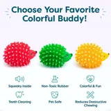 Hedgehog Squeaky Toy