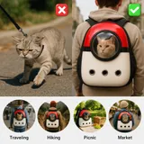 Red White Pokemon Pet Bag