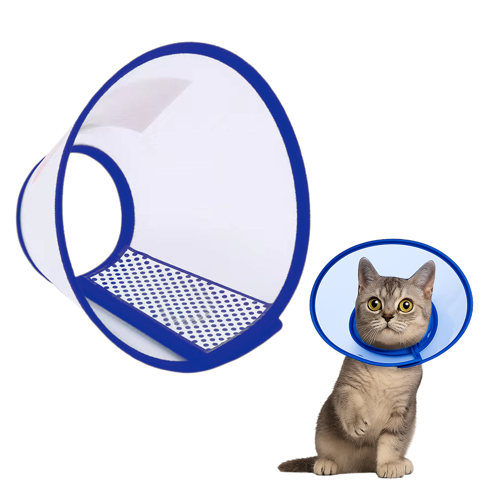 Elizabeth Pet Recovery Collar — E-Collar