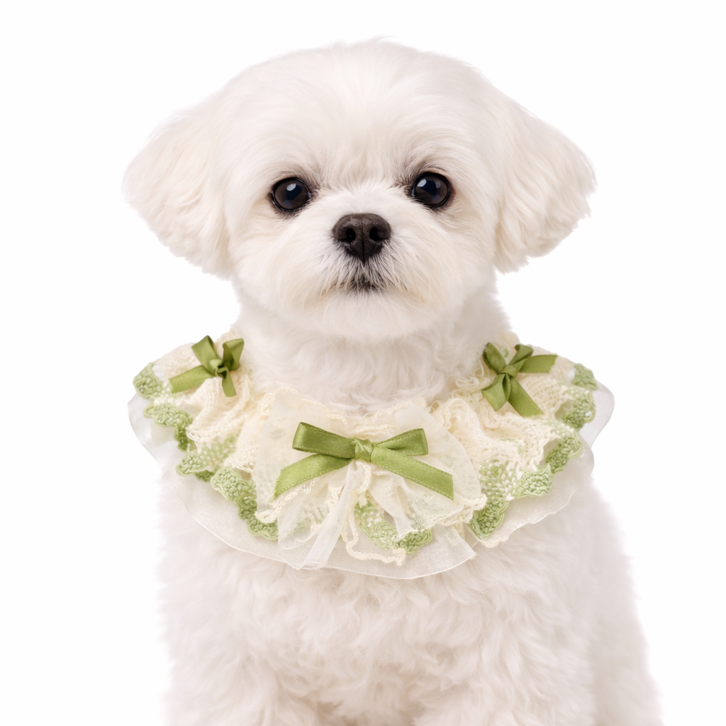 Pet Neckwear — Floral Lace Cream