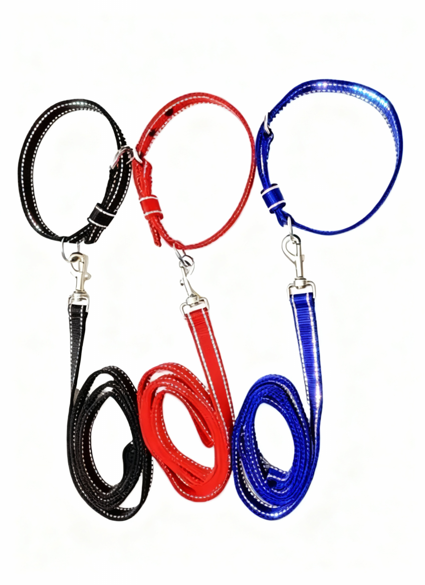 PP Reflective Collar & Leash Set