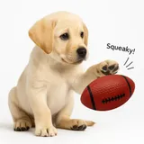 Football Squeaky Toy