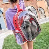 Red Transparent Pet Bag