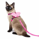 Angel Wings Harness
