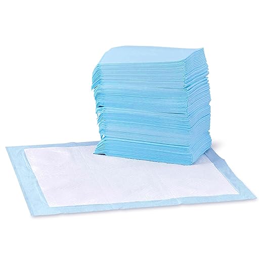 Pet Pee Pads for Potty Training – 60×60 — (40pc)