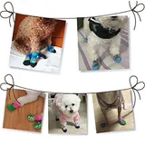 Dog Socks