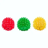 Hedgehog Squeaky Toy