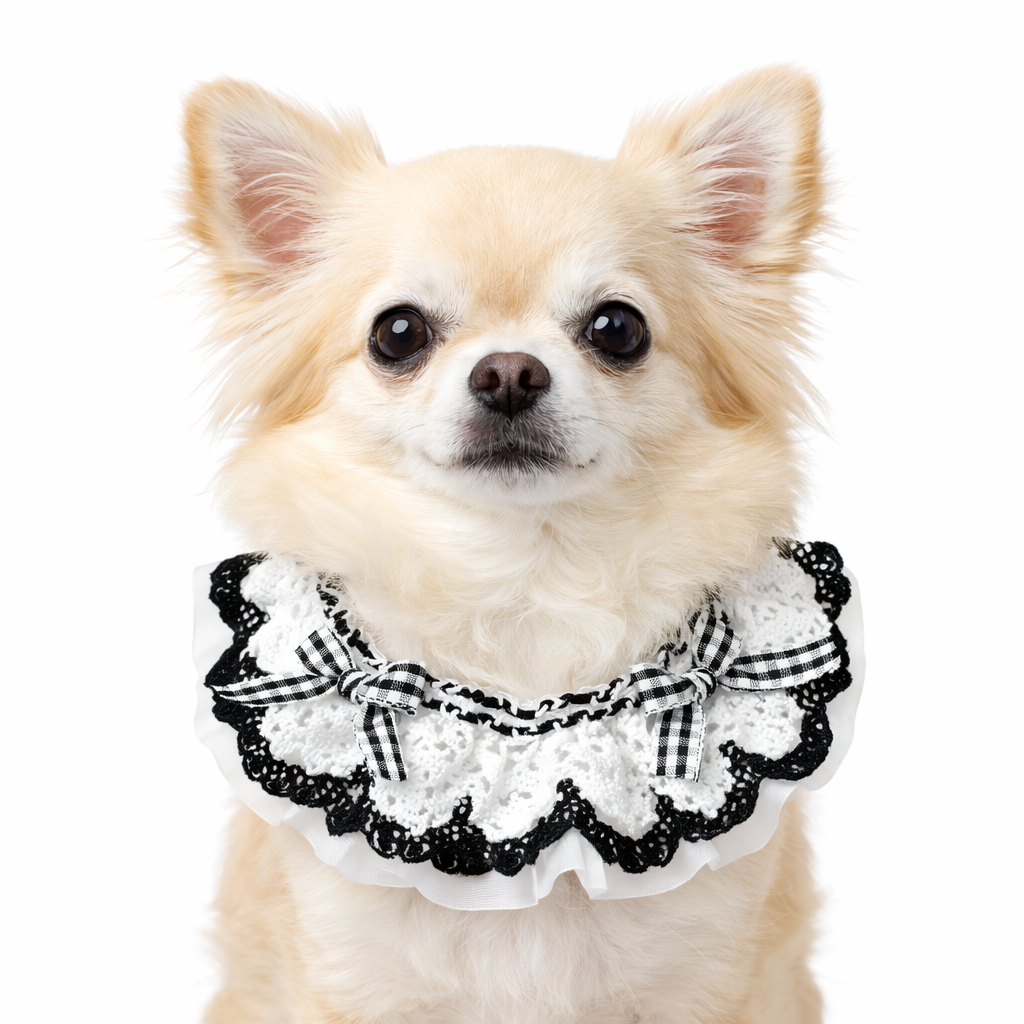 Pet Neckwear — Lace Frill Grey