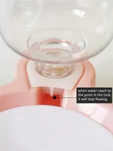 1 Automatic Water Feeder With Bowl